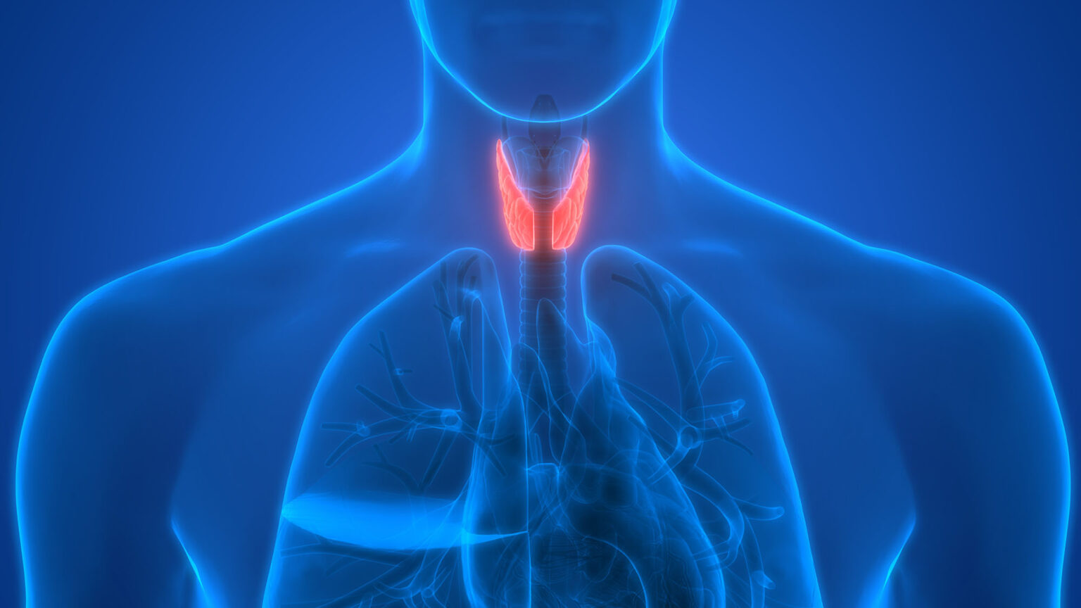 how-to-recognize-thyroid-issues-your-family-medical