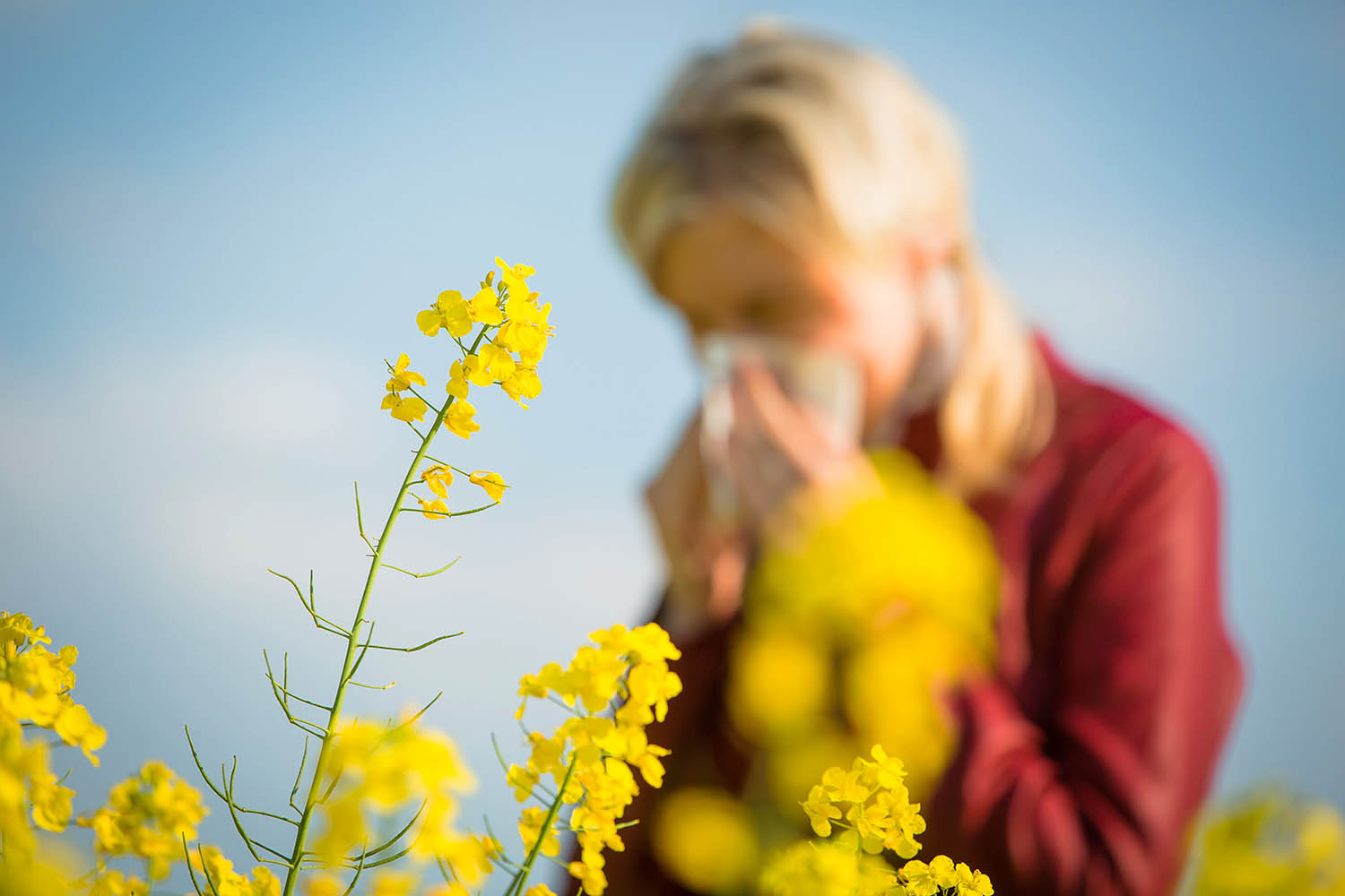 navigate spring with allergies and asthma